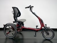 JETZT NEU! Van Raam Easy Rider Compact Sitzdreirad Wandsbek - Hamburg Rahlstedt Vorschau