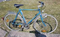 Herrensport Fahrrad Rennrad Vintage Fixie Thüringen - Erfurt Vorschau