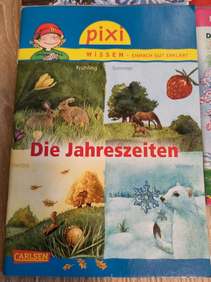 6 Pixi Bücher Wissen Benny Blu Wikinger Ritter Jahreszeiten Tiere in Erfde