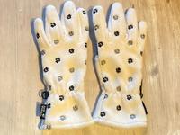 Jack Wolfskin Damen Handschuhe Größe S, neu und ungetragen Niedersachsen - Braunschweig Vorschau