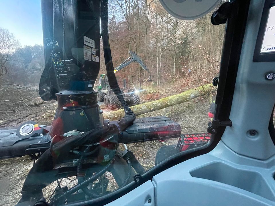 Holzeinschlag Baumfällung Wimmer Forstschlepper in Altenkunstadt