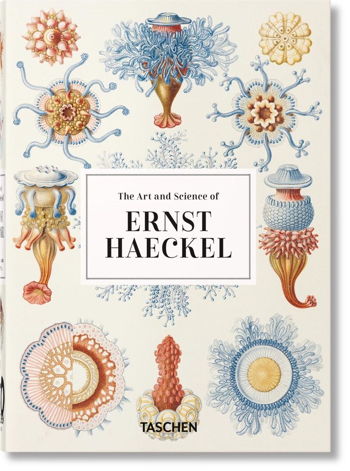 Ernst Haeckel. Kunst und Wissenschaft. 40th Ed. | Julia Voss in Buch