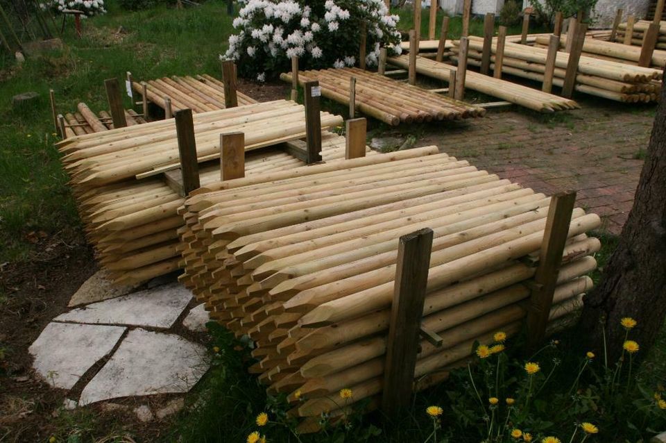 Baumpfähle Zaunpfähle Holzpfähle 6 x 125 cm imprägniert in