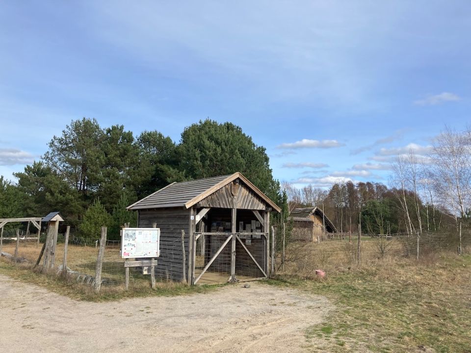 1.125 m² Baugrundstück (2 Flurstücke) in Klein Köris in Groß Köris