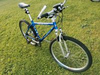 Henderson, Mountain Bike, Fahrrad, 21Gang + Ersatzteile Brandenburg - Peitz Vorschau