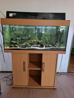 Ich bitte hier eine komplette Aquarium Bayern - Ergolding Vorschau