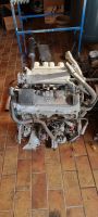 VW Passat 35i Motor 2L 115PS MKB 2E Nordrhein-Westfalen - Lengerich Vorschau