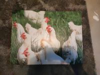 Bild Hühner Leinwand 100x50cm Niedersachsen - Ihlow Vorschau