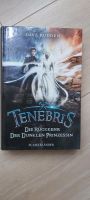 Buch "Tenebris -Die Rückkehr der dunklen Prinzessin-" (Band 2) Nordrhein-Westfalen - Oberhausen Vorschau