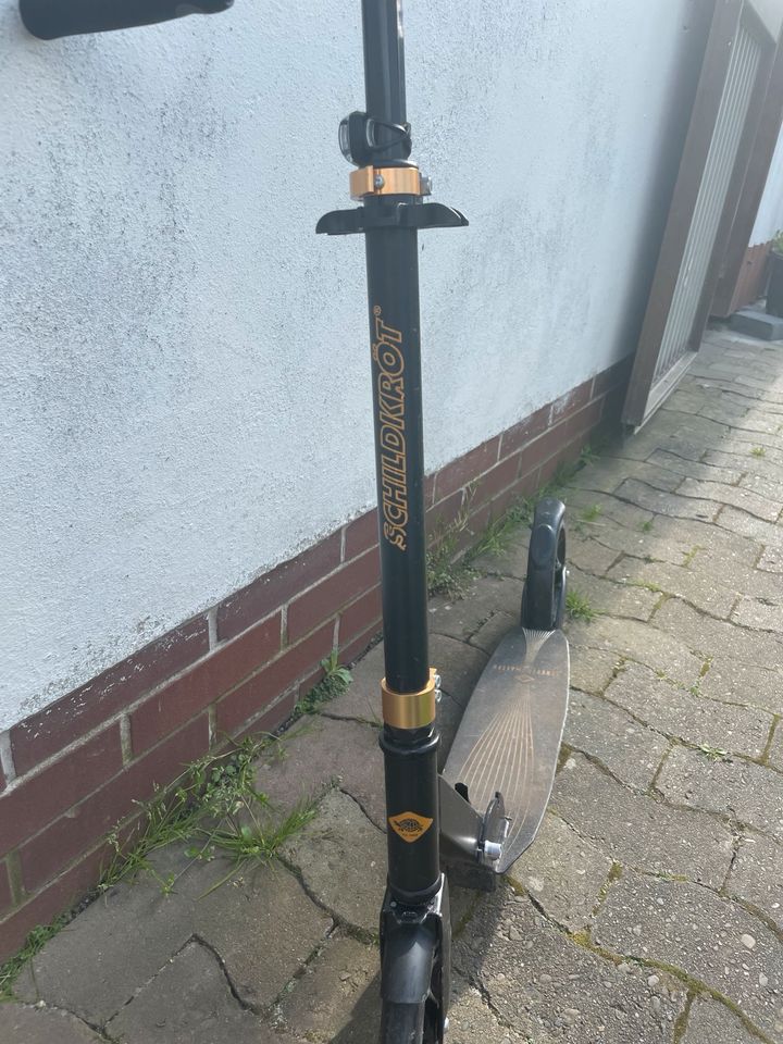 Schildkröte Scooter-Roller Master 2.0 in Grasleben