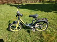 Puky Fahrrad 18 Zoll schwarz gelb Schleswig-Holstein - Wanderup Vorschau