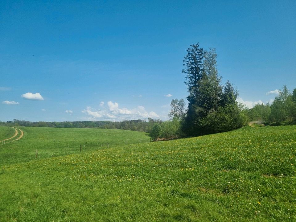 ❗️ WOHNUNGSGESUCH Umkreis Marienheide ❗️ in Marienheide