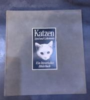 Katzen -Spiel und Geheimnis- Ein literarisches Bilderbuch Berlin - Reinickendorf Vorschau
