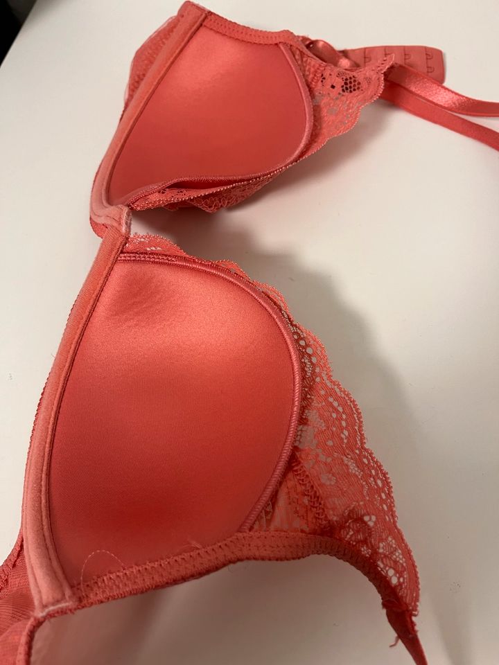 BH mit Spitze in korallrot von Passionata 80B in Sachsenheim