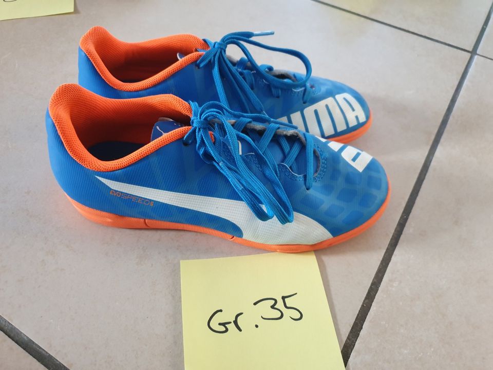 Puma evospeed best sale hallenschuhe kinder