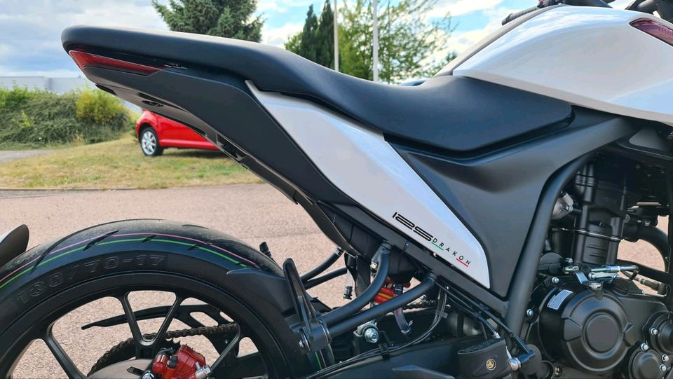 Malaguti Drakon 125ccm³ Nakedbike ähnliche KTM Duke B196/A1 NEU in Hettstedt