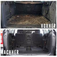 PKW|BASIC|FAHRZEUGAUFBEREITUNG GESUCHT? Nordrhein-Westfalen - Bad Lippspringe Vorschau