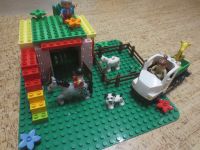 Lego Duplo Tiertransporter Zooauto Pferdestall div Steine Tiere Hessen - Eichenzell Vorschau