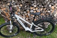 E-Bike Bulls Aminga Eva 2 weiß/Rainbow Edition 27,5“ Baden-Württemberg - Bitz Vorschau