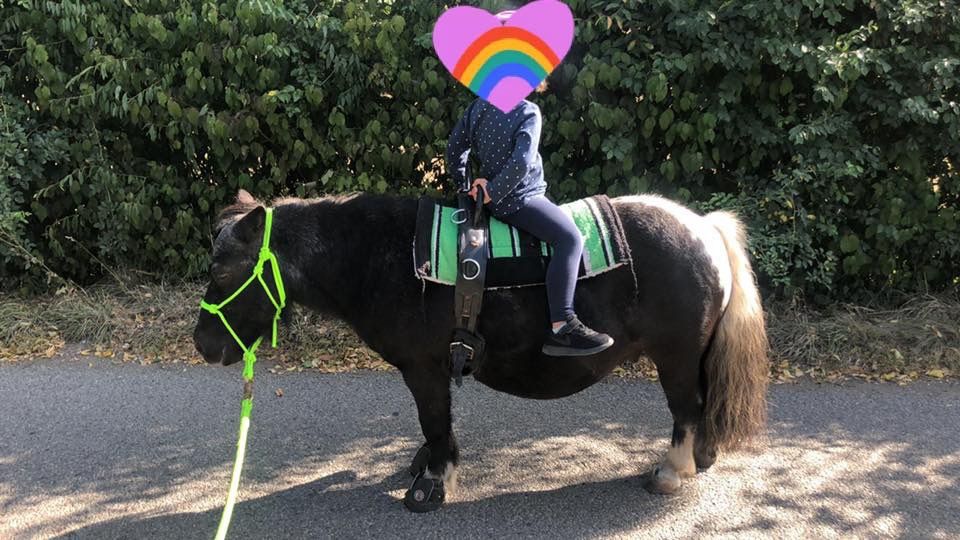 Pädagogisches Pony reiten in Heppenheim (Bergstraße)