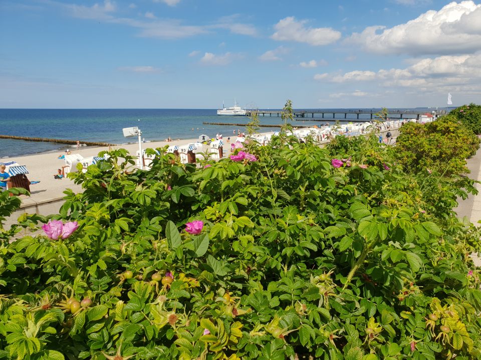 Ferienwohnung Ostsee Kühlungsborn 2 Zi. Balkon WLAN Tiefgarage in Kühlungsborn