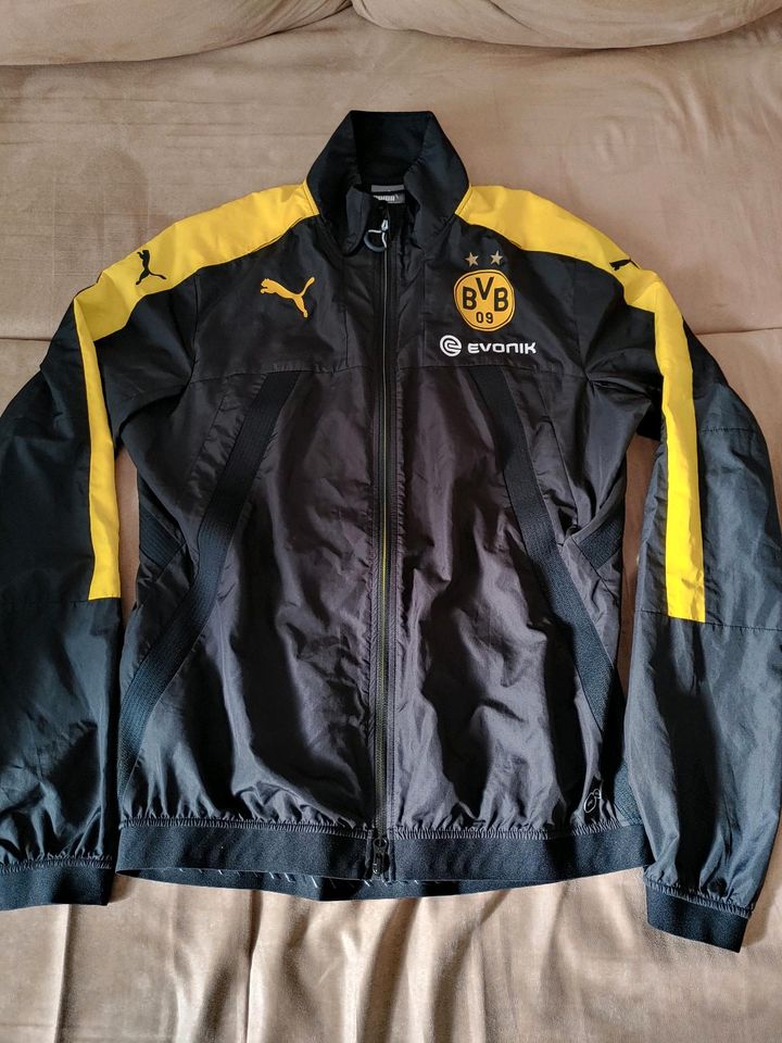 BVB Borussia Dortmund Trainingsjacke Gr L Puma sehr guter Zustand in Heuchelheim