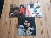 Vinyl Billy Squier Signs of Life The Tale of the Tape Enough is Rheinland-Pfalz - Schifferstadt Vorschau