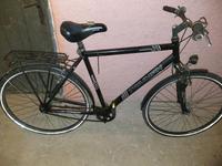 Triumph Fahrrad München - Trudering-Riem Vorschau