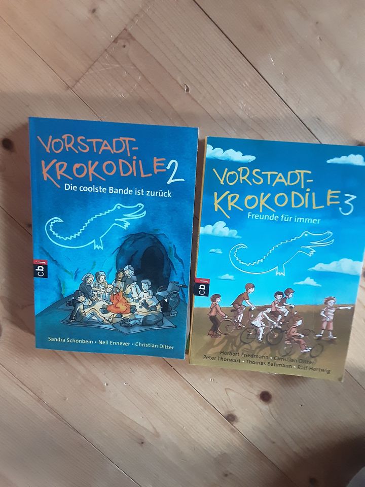 Vorstadtkrokodile in Hüffler