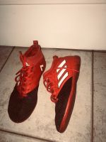 Adidas Hallenschuh Fußball ACE 17.3 EU36 2/3 Bayern - Greifenberg Ammersee Vorschau