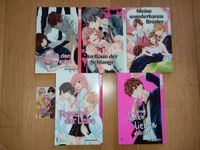 Mangasammlung Yuki Shiraishi Tokyopop incl. 1 Shoco Card Mangas München - Schwanthalerhöhe Vorschau