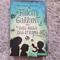 Felicity Gallant das Auge des Sturms Buch Fantasy Melanie Welsh Rheinland-Pfalz - Dannenfels Vorschau