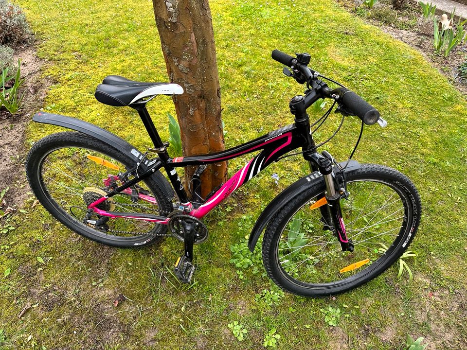 Mountainbike Specialized schwarz lila in Rosengarten