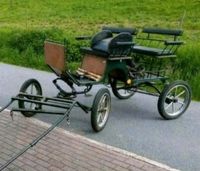 Marathonwagen Kutsche Buggy Einspänner Zweispänner mit Zubehör Baden-Württemberg - Limbach Vorschau