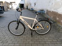 Fahrrad Prophete City500 Hessen - Nauheim Vorschau