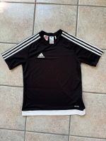 Verkaufe kaum getragenes Adidas-Shirt Kurzarm black 164 Climalite Ludwigslust - Landkreis - Ludwigslust Vorschau