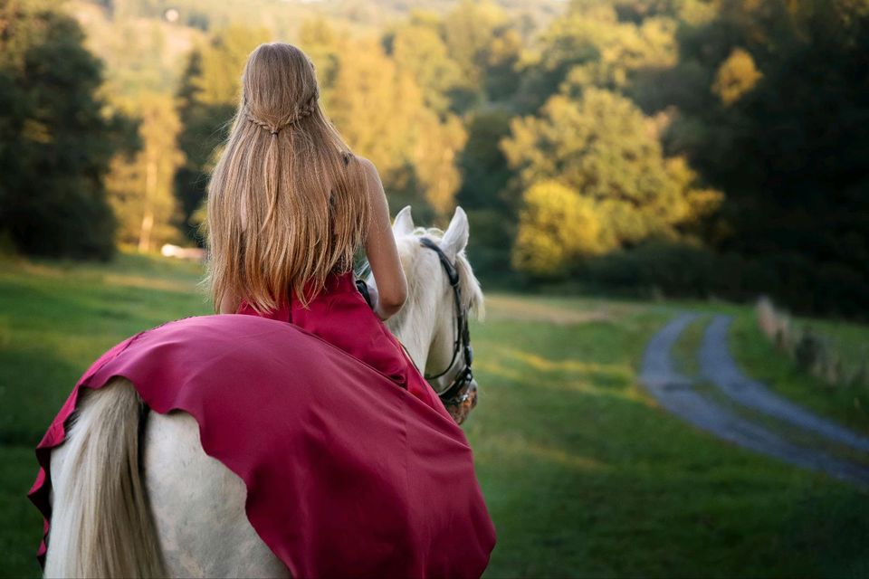 Professionelle Hunde und Pferde Fotografie in Haiger