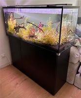 240l Aquarium EHEIM Nordrhein-Westfalen - Korschenbroich Vorschau