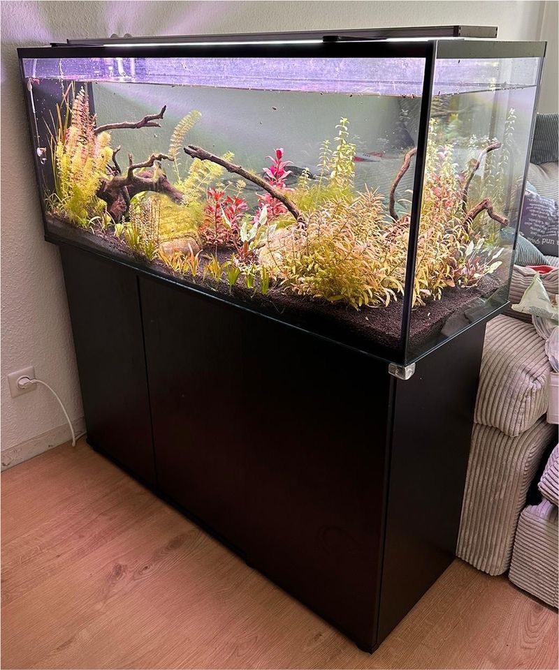 240l Aquarium EHEIM mit Unterschrank in Korschenbroich