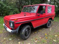 Mercedes Benz G 250 Diesel Wolf H - Zulassung ex Feuerwehr Nordrhein-Westfalen - Overath Vorschau