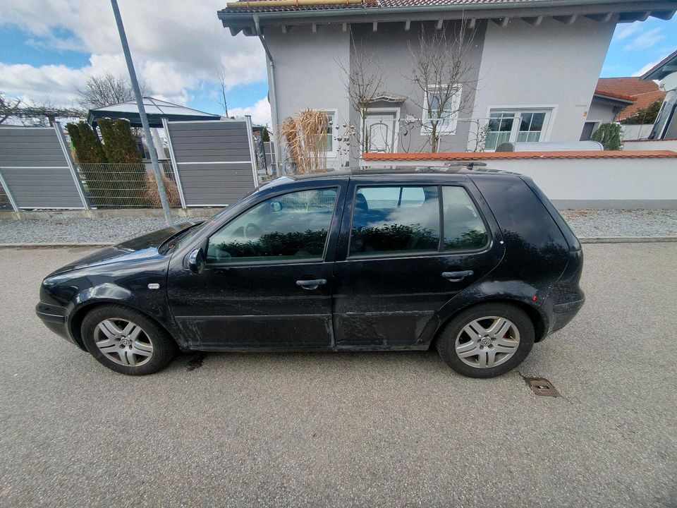 Schlachtfest Golf 4 1.6 16V 2003 in Gangkofen