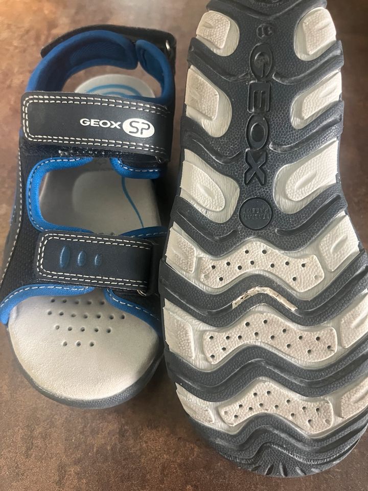 Geox Sandalen 31 in Straubing