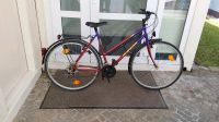 Damenfahrrad,Shimano Schaltung Bayern - Bach an der Donau Vorschau