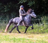 Pferdewirt/in gesucht Saarland - Nohfelden Vorschau