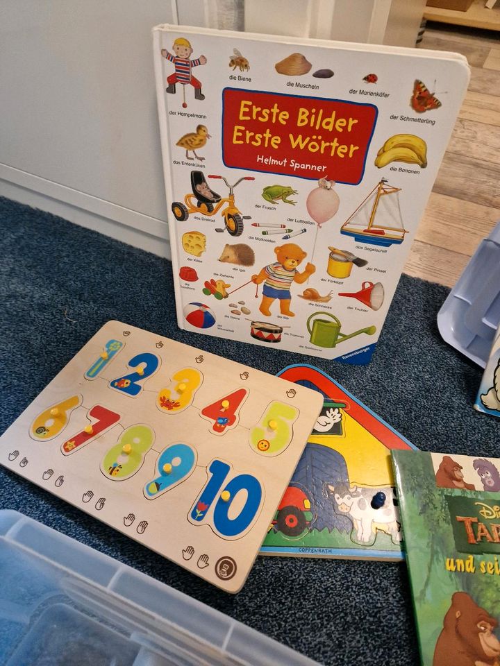 Holzspielzeug und Bücher für Kleinkinder in Adendorf