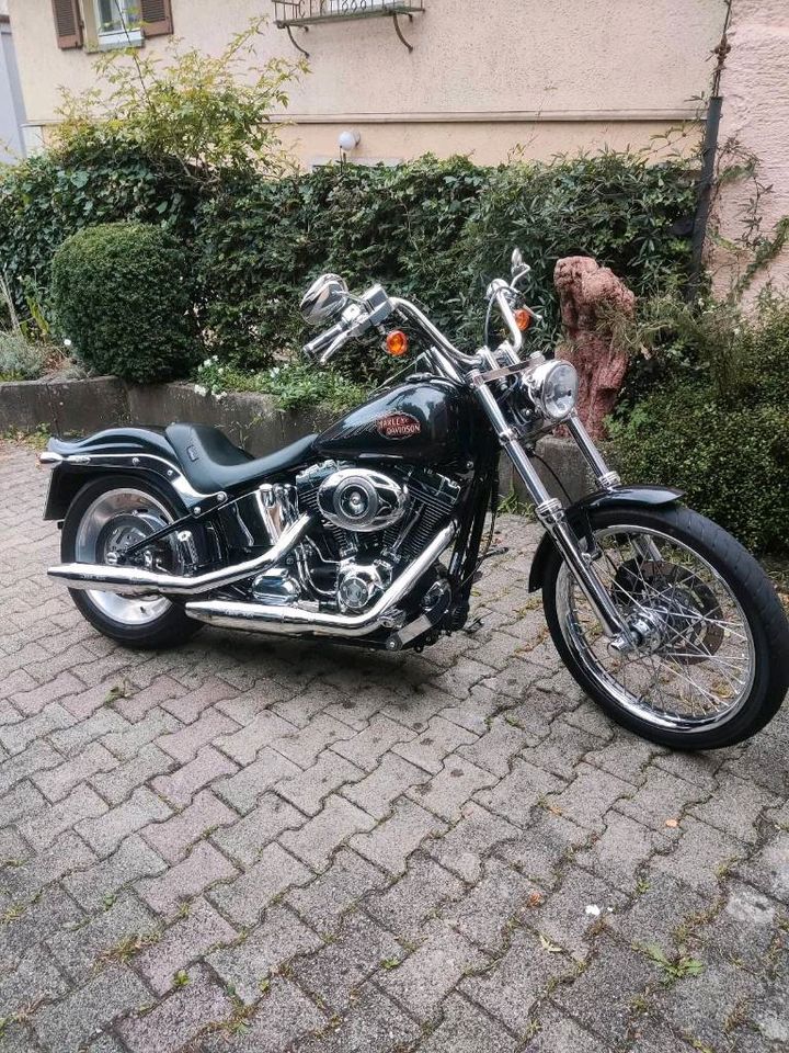 Harley Davidson TÜV NEU!!!  FXSTC Custom TwinCam Chopper in Stuttgart