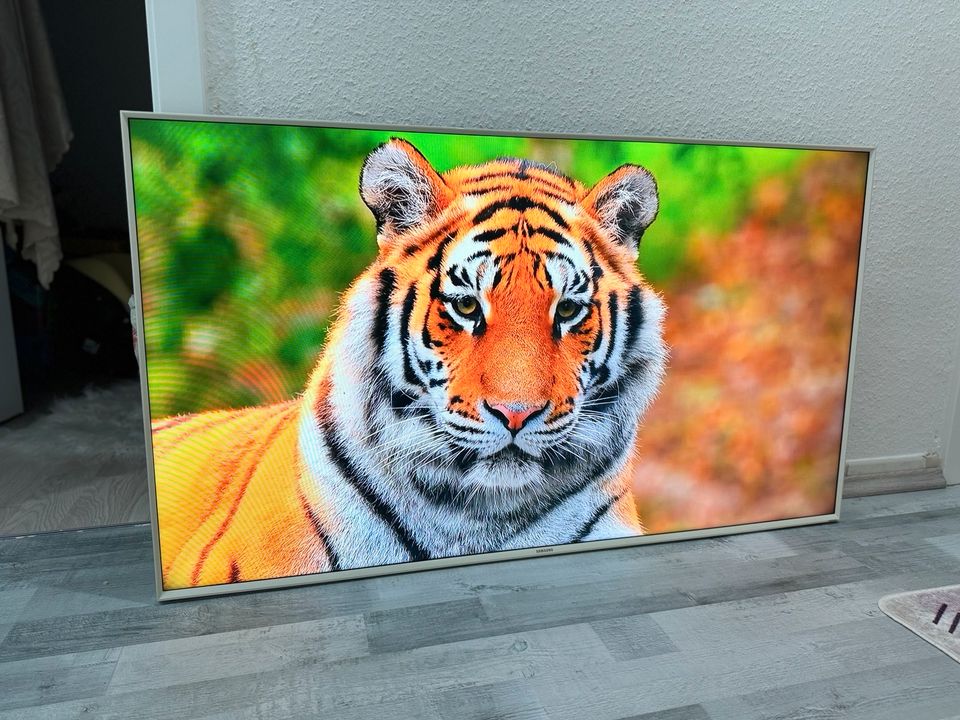 Samsung Smart tv 55 Zoll Fernseher in Neuss