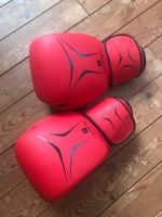 Boxhandschuhe FKT 180 TOP Zustand Hannover - Döhren-Wülfel Vorschau