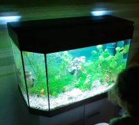 Aquarium 120l Brandenburg - Wilmersdorf bei Pritzwalk Vorschau