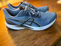 Neuwertige Laufschuhe ASICS GT-1000 12 Herren Gr. 45 Dresden - Trachau Vorschau